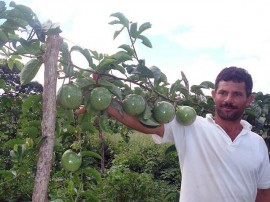 emater semana de alimentacao Plantio de Maracuja Esperança1 270x202 - Governo comemora Semana Nacional da Alimentação