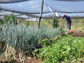 emater semana nacional de alimentacao 1 270x202 - Governo comemora Semana Nacional da Alimentação