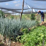 emater semana nacional de alimentacao (1)(1)