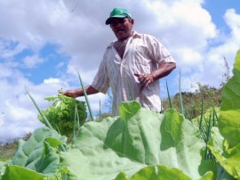 emater semana nacional de alimentacao 2 270x202 - Governo comemora Semana Nacional da Alimentação