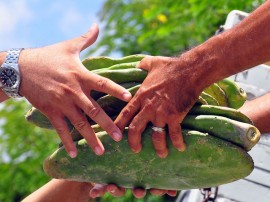 entrega de palma na emater itabaiana jose lins secom pb 0185 270x202 - Governo investe mais de R$ 350 milhões no desenvolvimento da agropecuária