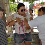 vacinacao de animais foto jose lins1