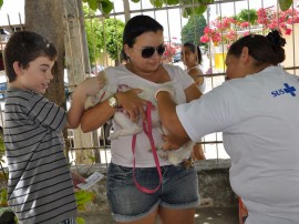 vacinacao de animais foto jose lins11 270x202 - Governo ultrapassa meta e imuniza mais de 82% dos cães contra a raiva