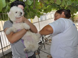 vacinacao de animais foto jose lins2 270x202 - Governo do Estado vai imunizar mais de 100 mil cães e gatos em 42 municípios