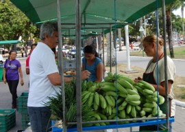 Feira Economia Solidária 13.12.12 Fotos Fernanda Medeiros 22 270x192 - Feira reúne agricultores e artesãos na Semana da Economia Solidária