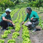 emater dia nacional do extencionista rural (1)