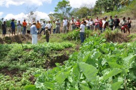 emater dia nacional do extencionista rural 4 270x179 - Governo comemora Dia Nacional do Extensionista Rural