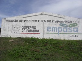 PISCICULTURA PORTAL 2 270x202 - Produtores rurais de Ingá visitam Estação de Pisicultura em Itaporanga