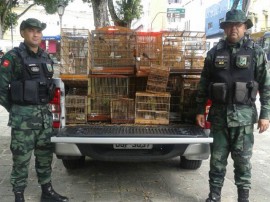 bpamb pm ambiental apreencao de aves na regiao metropolitana 11 270x202 - Polícia apreende 253 aves em operação na Região Metropolitana