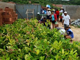 agricutores de matureia recebem mudas de arvores frutiferas pela emater 2 270x202 - Governo entrega mudas de frutíferas a agricultores de Matureia