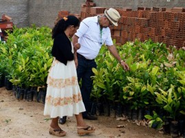 agricutores de matureia recebem mudas de arvores frutiferas pela emater 32 270x202 - Governo entrega mudas de frutíferas a agricultores de Matureia