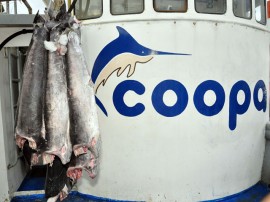 atum pescadores foto francisco frança 31 270x202 - Governo incentiva pesca em Cabedelo com recursos do Empreender-PB