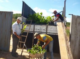 emater e emepa Matureia mudas frutiferas agricultores 2 270x202 - Emater e Emepa levam mudas frutíferas para agricultores familiares em Matureia