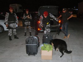 policia militar e rodoviaria da pb e pe operacao divisa segura 8 270x202 - ‘Operação Divisa Segura’ reprime tráfico de drogas entre Paraíba e Pernambuco