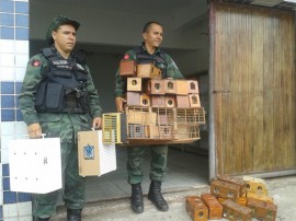 policia ambiental recupera 645 animais silvestres em operacao 2 270x202 - Polícia ambiental apreendeu 645 animais silvestres no 1º bimestre