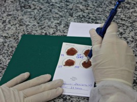 teste de partenidade FOTO Ricardo Puppe 1 270x202 - Hemocentro da Paraíba realiza seis mil exames de paternidade