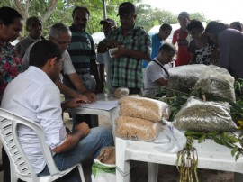 emater em monteiro inclusao produtiva bloco de racao animal 21 270x202 - Região de Monteiro é contemplada de Jornada de Inclusão Produtiva