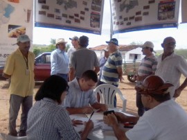 14.05.14 programa producao palma forrageira 1 270x202 - Estado tem apoio do Insa em programa de produção de palma forrageira