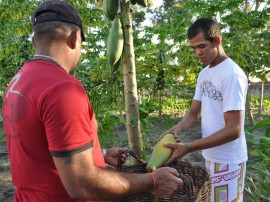 colonia agricula penitenciaria em mangabeira mamao foto joao francisco 161 270x202 - Penitenciária Agrícola de Mangabeira inicia mais um ciclo de colheita de frutas