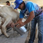 emater e embrapa parceria de fortalecimento da caprinocultura na paraiba (1)