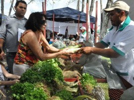 emater e prefeitura de itabaina jornada produtiva parceria de fortalecimento da agricultura familiar 21 270x202 - Governo firma parcerias para fortalecer agricultura na região de Itabaiana