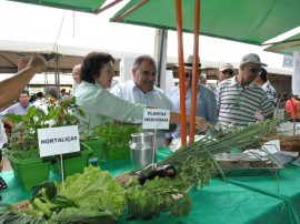 emater e prefeitura de patos parceria em favor da agricultura familiar 3 270x202 - Governo e prefeituras assinam parceria em favor da agricultura familiar