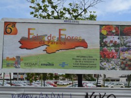 empasa feira das flores 1 270x202 - Feira da Empasa comercializa flores para o Dia das Mães nesta quinta-feira