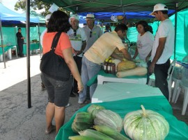 06.06.14 jornada inclusao 5 270x202 - Criadores comemoram em Jornada de Inclusão Produtiva conquista de selo de área livre da aftosa