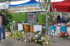 09.06.14 agricultores sousa aprendem combater praga coco 22 270x179 - Agricultores aprendem a combater praga do coco em Jornada de Inclusão