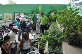 09.06.14 agricultores sousa aprendem combater praga coco 8 270x179 - Agricultores aprendem a combater praga do coco em Jornada de Inclusão