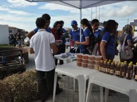 emater jornada de inclusao produtiva beneficia 700 agricultores da regiao de catole do rocha 3 270x202 - Jornada de Inclusão Produtiva reúne agricultores em Riacho dos Cavalos