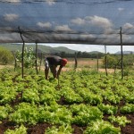 emater jornada de inclusao produtiva regiao de catole do rocha, pombal e sousa (3)