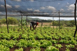 emater jornada de inclusao produtiva regiao de catole do rocha pombal e sousa 31 270x179 - Governo beneficia agricultores de Catolé do Rocha, Pombal e Sousa