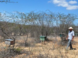 10.11.14 apicultores_agricultores_familiares_agua branca (1)