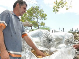 10.11.14 apicultores_agricultores_familiares_agua branca (3)