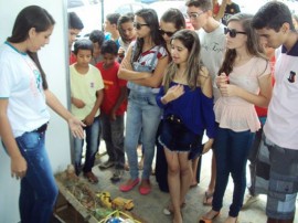 curso de mineracao em santa luzia 51 270x202 - Curso de Mineração apresenta ações desenvolvidas em 2014