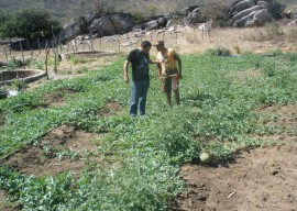 16.12.14 agricultores comercializam 500t alimentos pelopaae 2 270x192 - Agricultores comercializam 500 toneladas de alimentos em Sousa neste ano