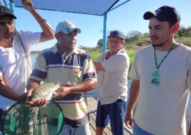 Criação peixe tanque rede em Santa Helena 2 270x192 - Criação de peixe em tanque de rede é modelo no Sertão