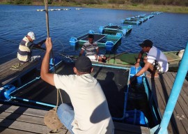 Criação peixe tanque rede em Santa Helena 31 270x192 - Criação de peixe em tanque de rede é modelo no Sertão