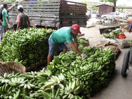 empasa supera volume de 200 mil toneladas comercializadas 2 270x202 - Empasa comercializa mais de 250 mil toneladas de alimentos