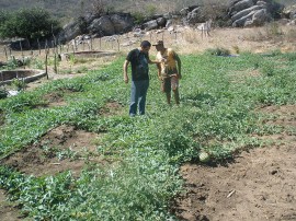 30.01.15 projeto emater classifica associaoes 31 270x202 - Agricultores familiares se classificam em edital do BNDES