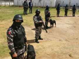 PM Canil da policia 15 270x202 - Cães adestrados treinam para localizar celulares em presídios e fugitivos em matas da Paraíba