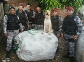 PM Canil da policia 3 270x202 - Cães adestrados treinam para localizar celulares em presídios e fugitivos em matas da Paraíba