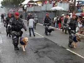 PM Canil da policia 5 270x202 - Cães adestrados treinam para localizar celulares em presídios e fugitivos em matas da Paraíba