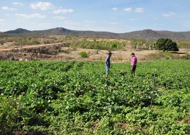 11.02.15 agricultores nazarezinho comecam venda deprodutosa 1 270x192 - Agricultores de Nazarezinho começam vender produtos ao Programa de Aquisição de Alimentos