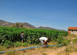 11.02.15 agricultores nazarezinho comecam venda deprodutosa 3 270x192 - Agricultores de Nazarezinho começam vender produtos ao Programa de Aquisição de Alimentos