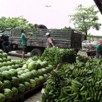 23.02.15 mercantilizao entre postos empasa superam 1 150x150 - Empasa comercializa mais de 300 mil toneladas de produtos