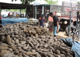 23.02.15 mercantilizao entre postos empasa superam 4 270x192 - Empasa comercializa mais de 300 mil toneladas de produtos