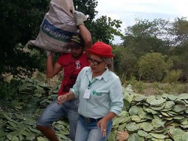 25.02.15 agricultores vale pianco discutem acessoapolti 2 270x202 - Agricultores discutem acesso a políticas públicas