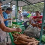 25.04.14-feira_emater_fotos_antonio-david-2